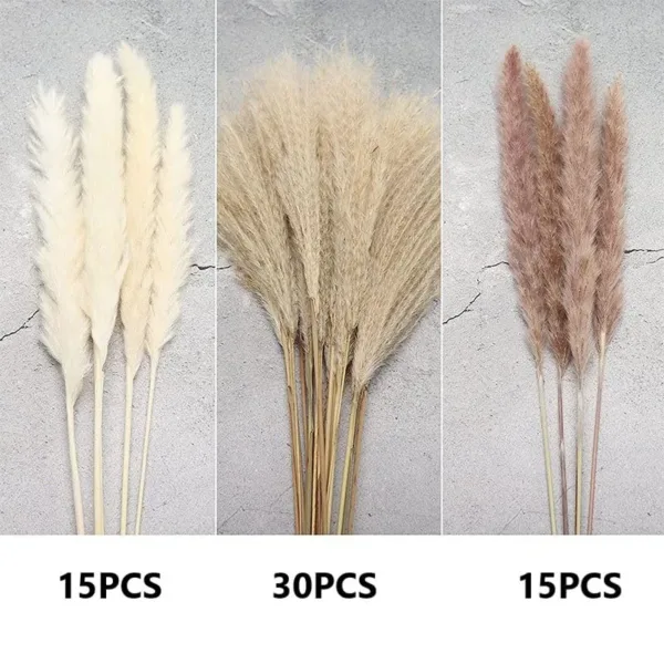 pampas grass decor 5