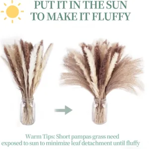 pampas grass decor 6