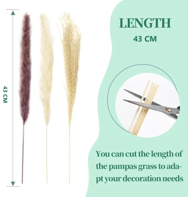 pampas grass decor 7