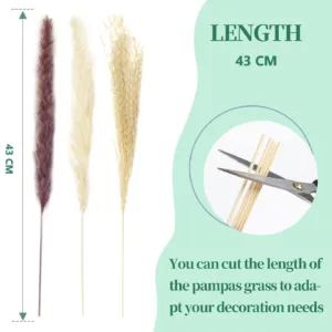 pampas grass decor 7