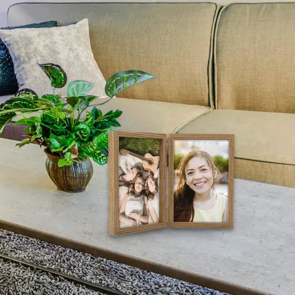 picture frame double hinged 3