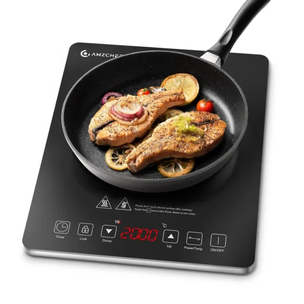portable electric stove 1