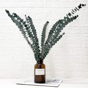 preserved eucalyptus branches 1