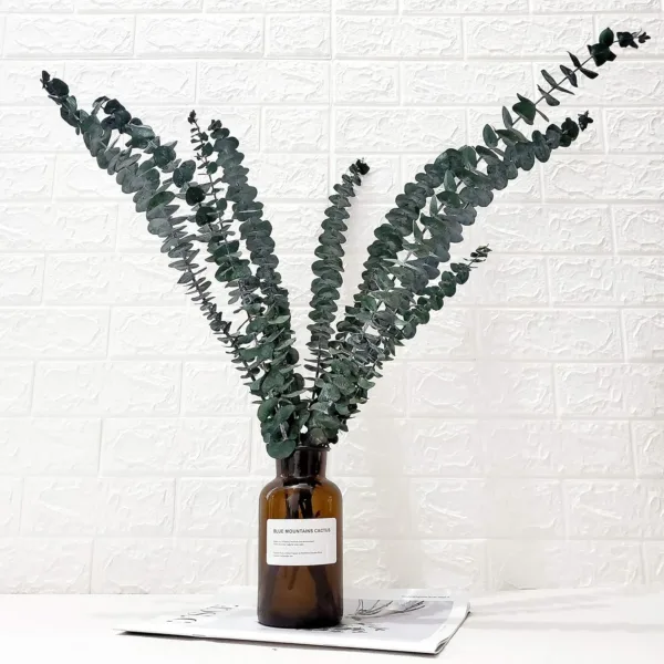 preserved eucalyptus branches 1