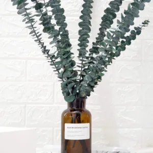 preserved eucalyptus branches 2