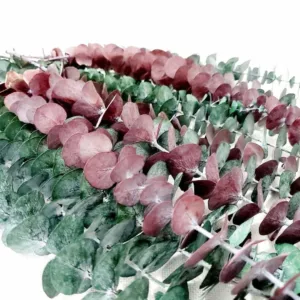 preserved eucalyptus branches 3