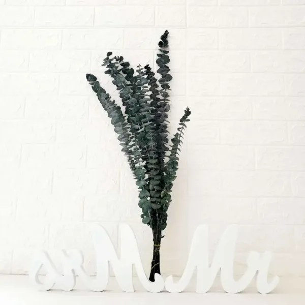 preserved eucalyptus branches 4