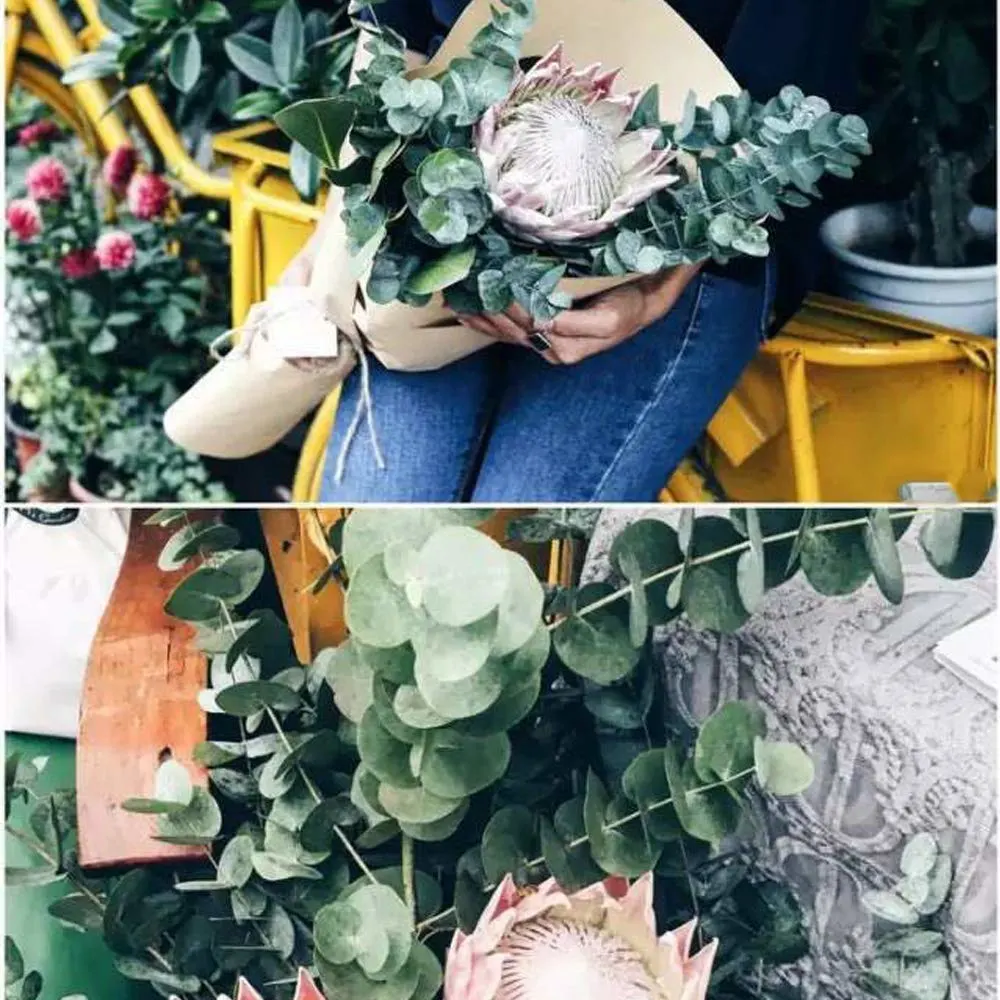 preserved eucalyptus branches 5