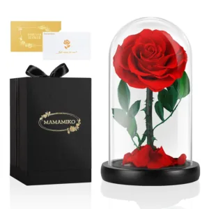 preserved real rose 1