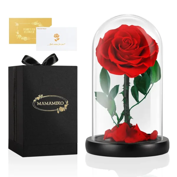 preserved real rose 1