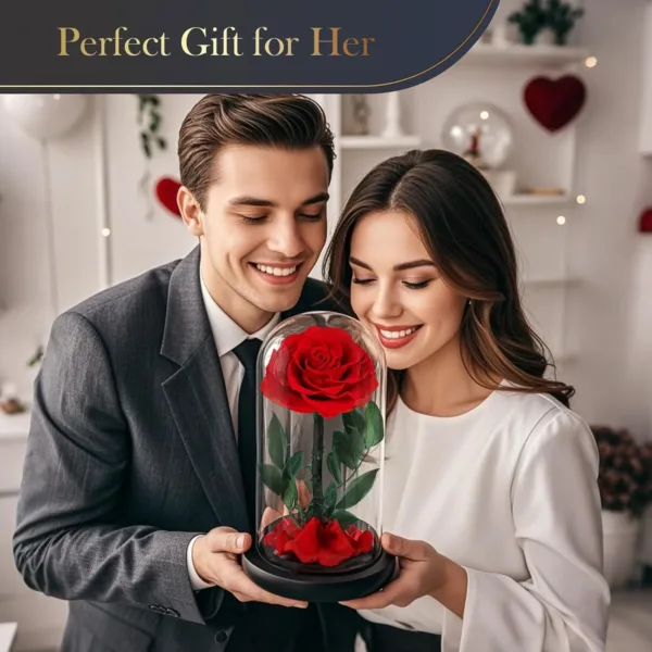 preserved real rose 6