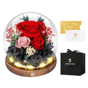 preserved real rose 7