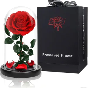 preserved rose flower gift 1