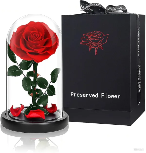 preserved rose flower gift 1