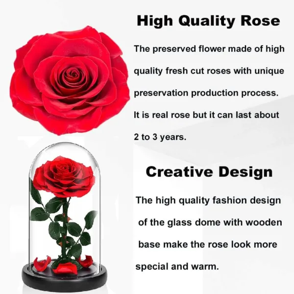 preserved rose flower gift 3