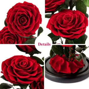 preserved rose flower gift 4