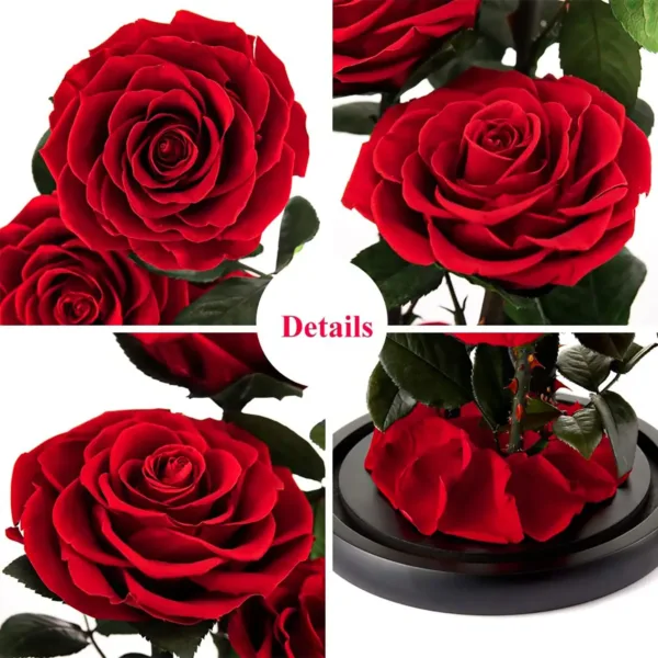 preserved rose flower gift 4