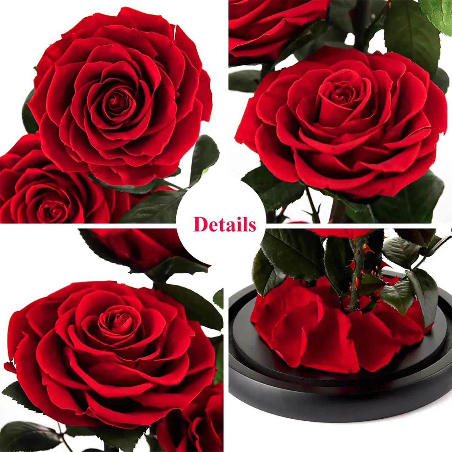 preserved rose flower gift 4