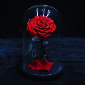 preserved rose flower gift 7