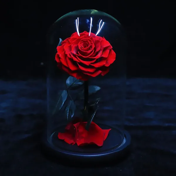 preserved rose flower gift 7