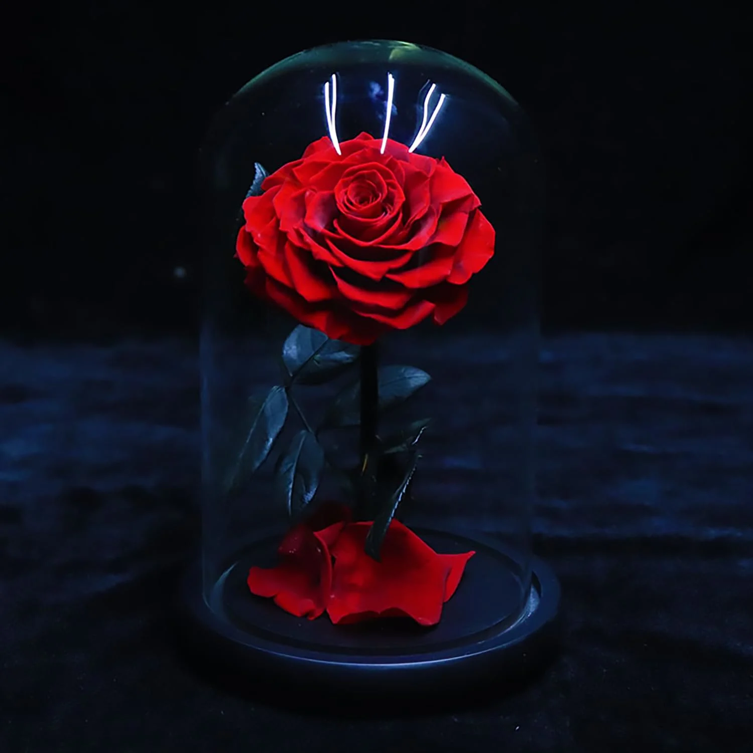 preserved rose flower gift 7