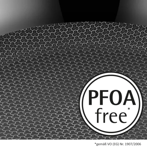 profi resist frying pan 6