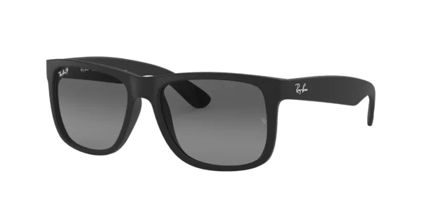 ray ban justin tortoise 2