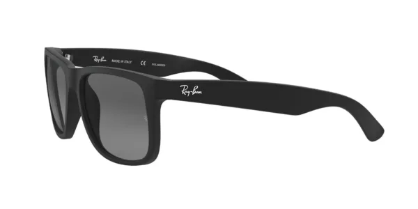 ray ban justin tortoise 3