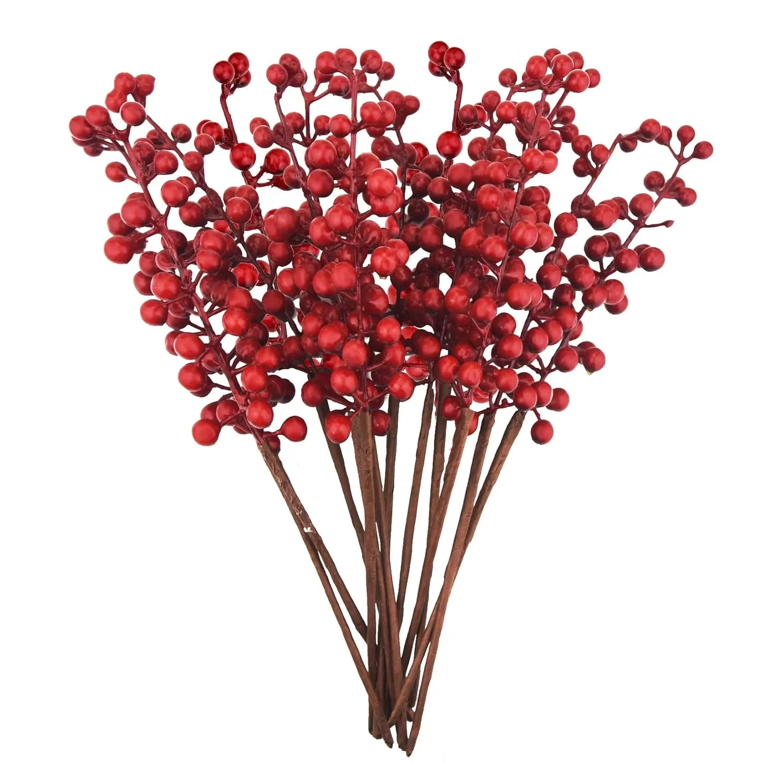 red berry stems 1