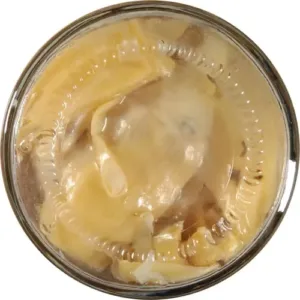 reese artichoke hearts 6