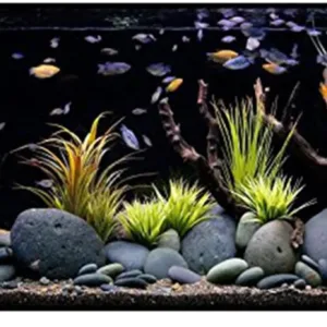 river rocks natural stones 6