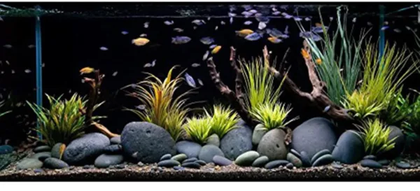 river rocks natural stones 6