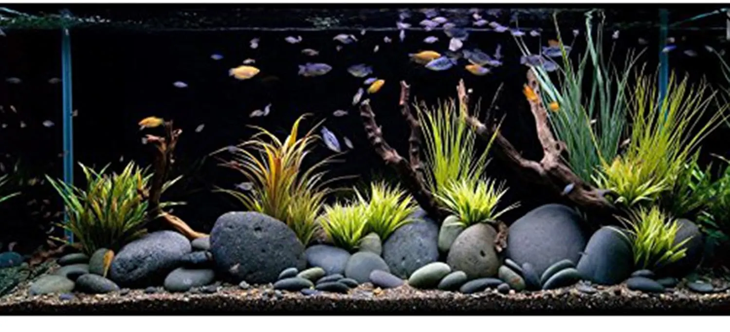 river rocks natural stones 6