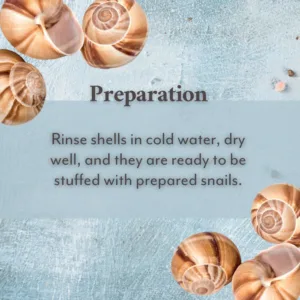 roland snail shells 5