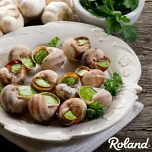 roland snail shells 6