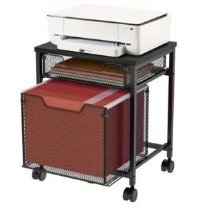 rolling file cabinet 1
