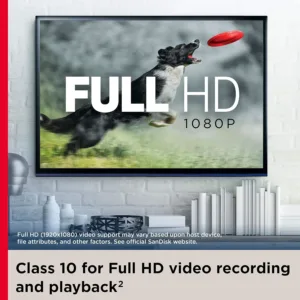 sandisk microsd card 6