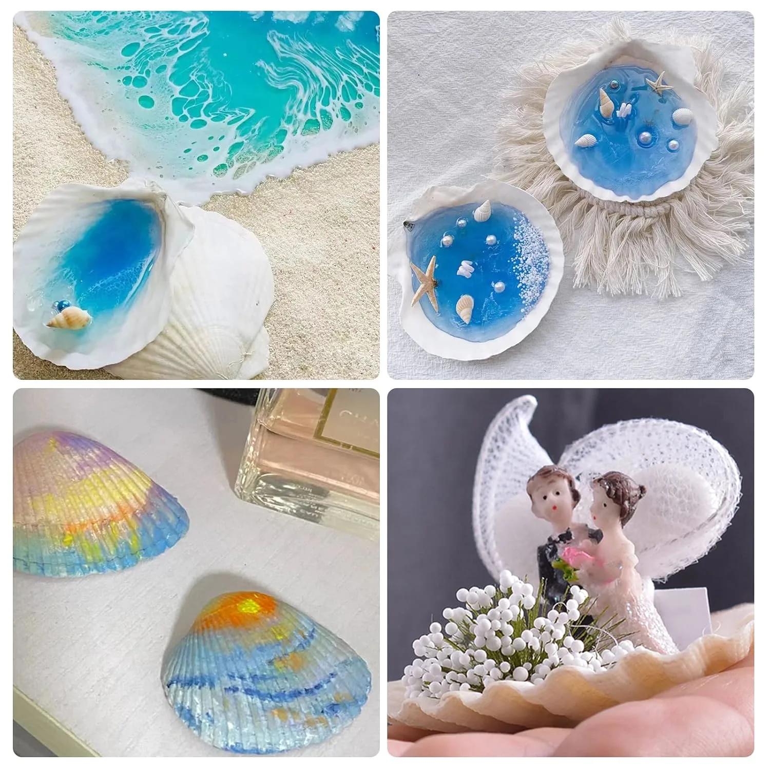 scallop shells crafts decor 2