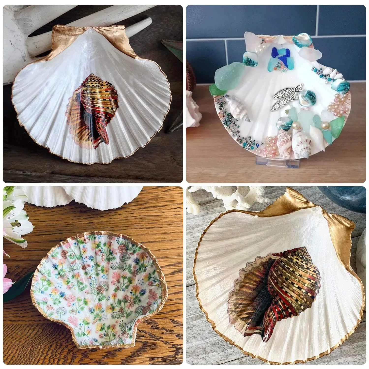 scallop shells crafts decor 4