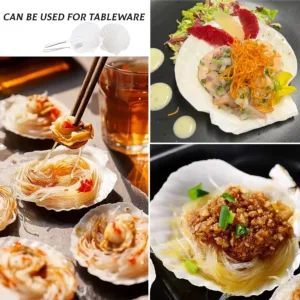 scallop shells crafts decor 5