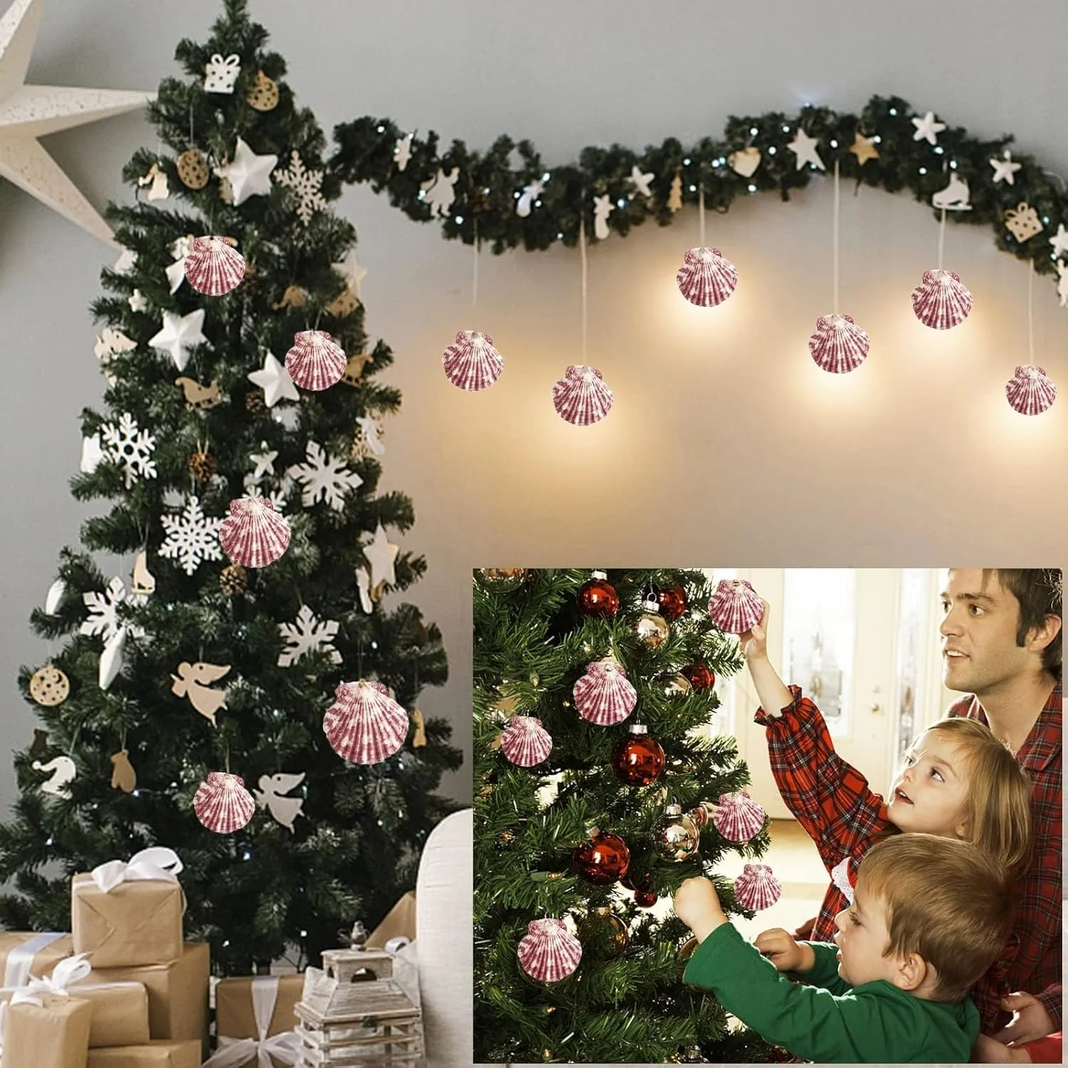 scallop shells natural 6