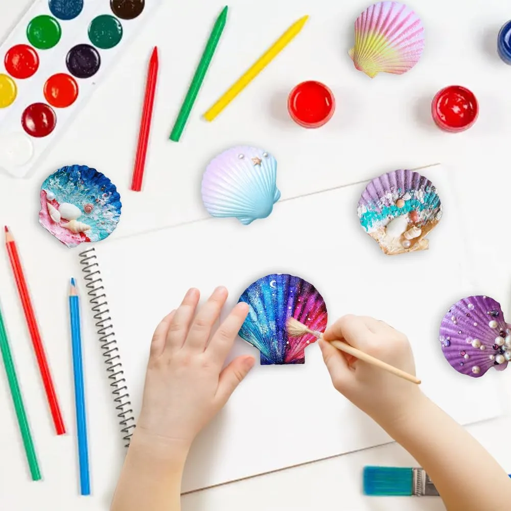 scallop shells white seashells 4