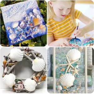 scallop shells white seashells 6