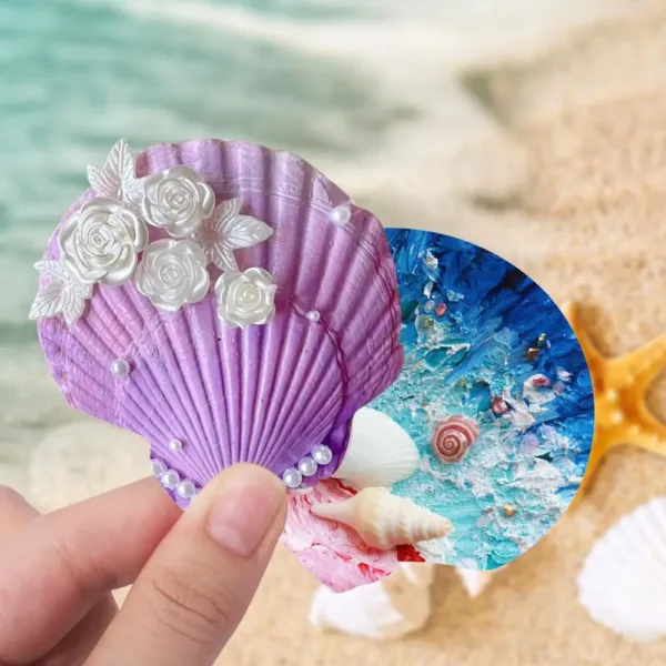 scallop shells white seashells 7