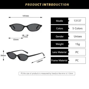 small oval sunglasses 6