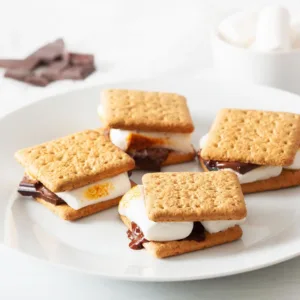 smores maker kit 5