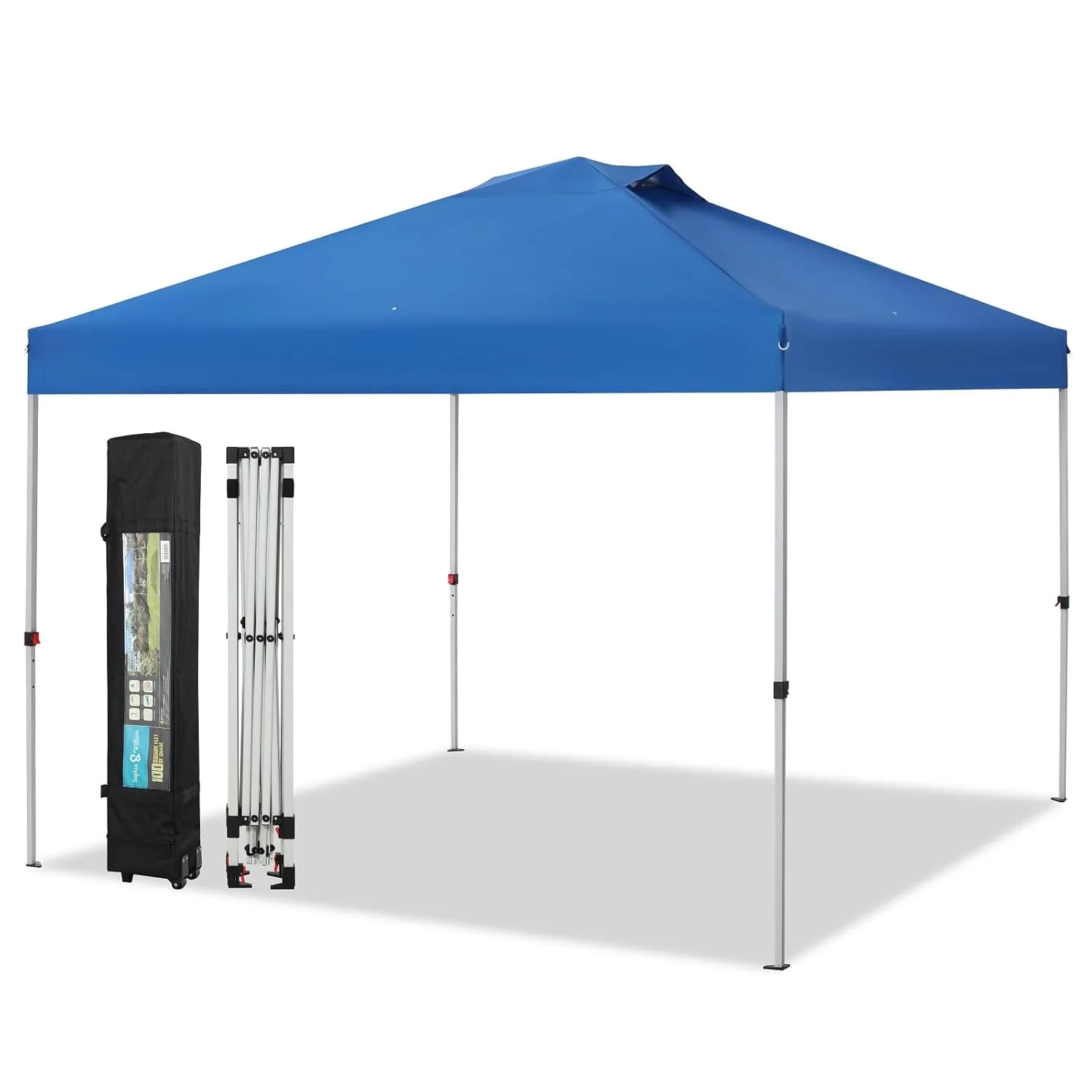 sophia william pop up 1