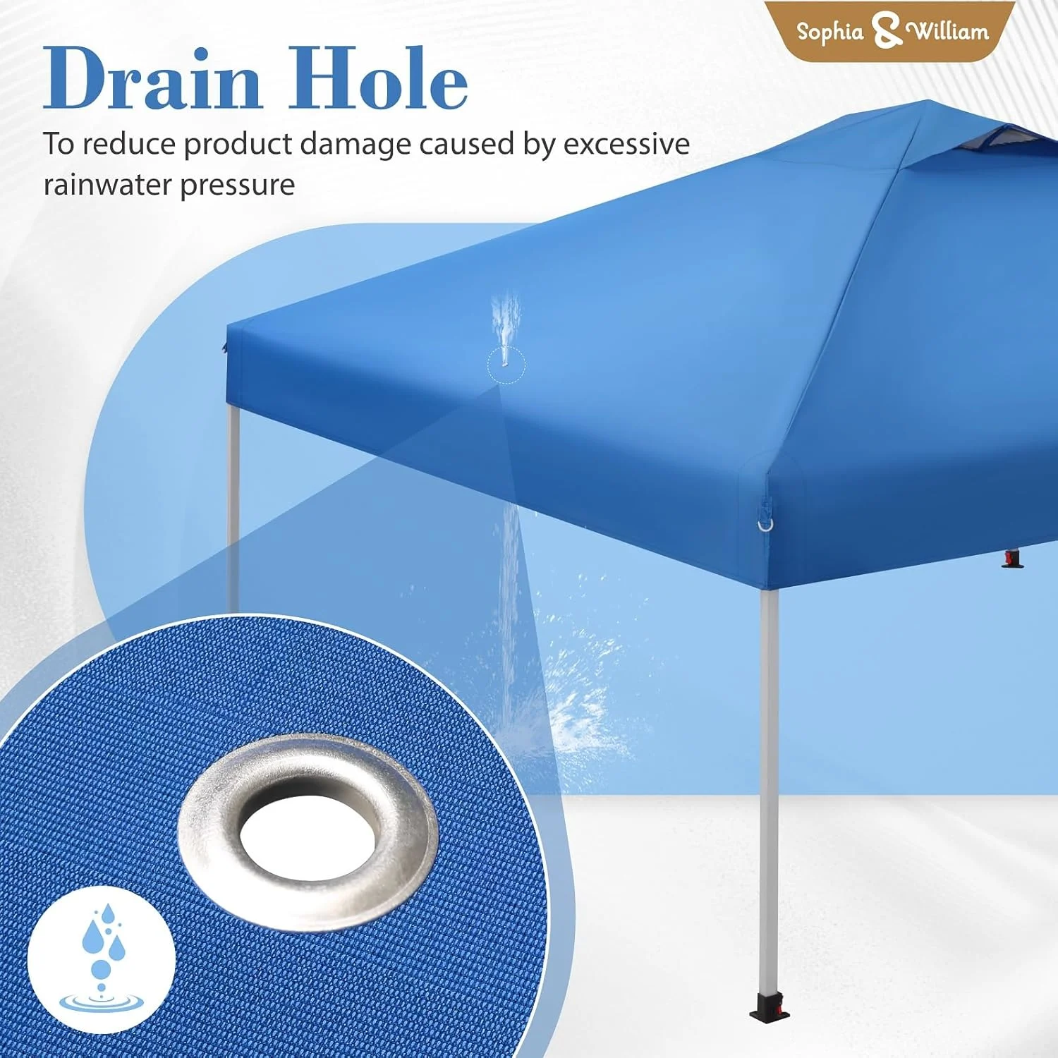 sophia william pop up 4