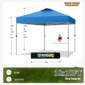 sophia william pop up 7