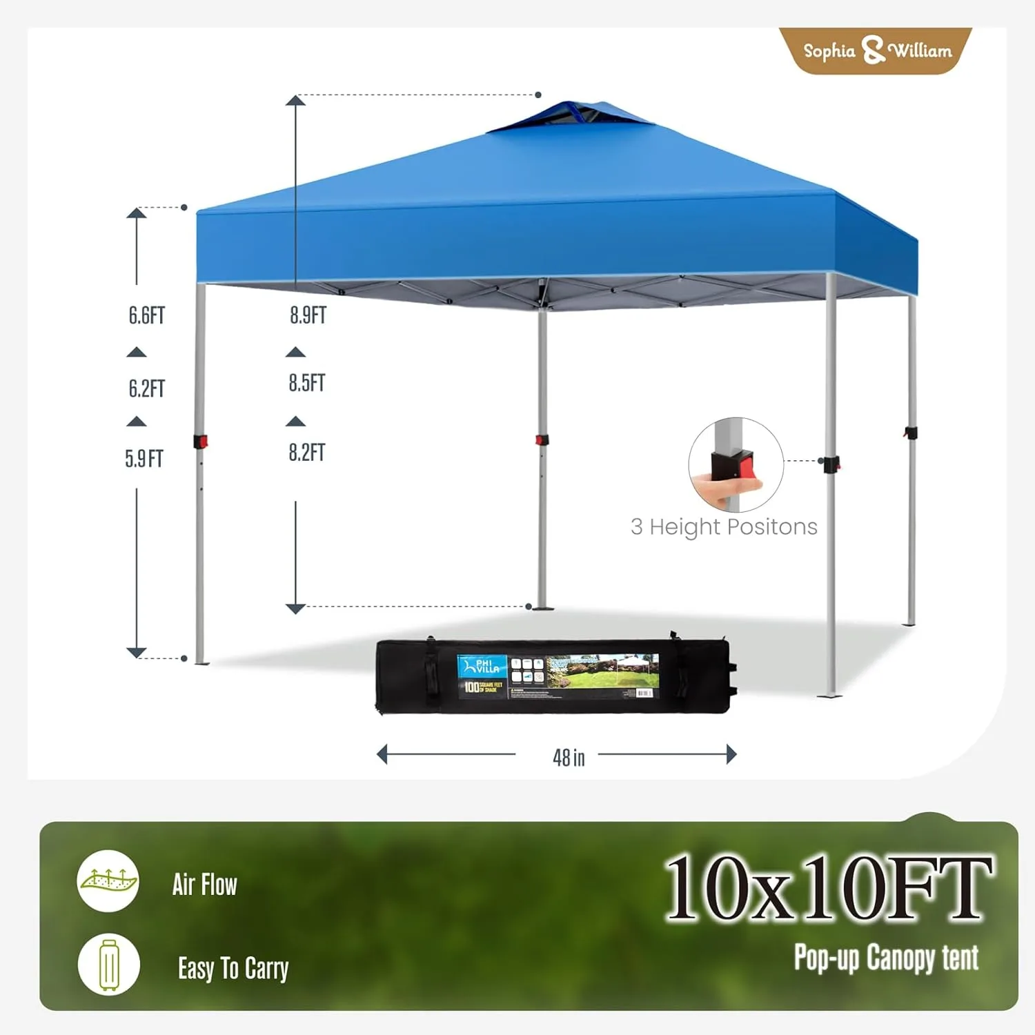 sophia william pop up 7